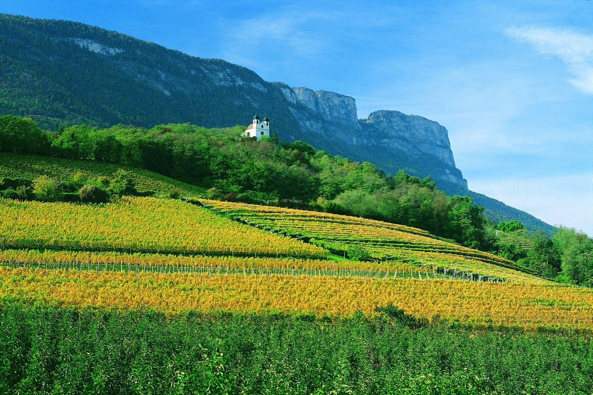 Hotel Gasthof Wastl Appiano Sulla Strada Del Vino Exterior photo